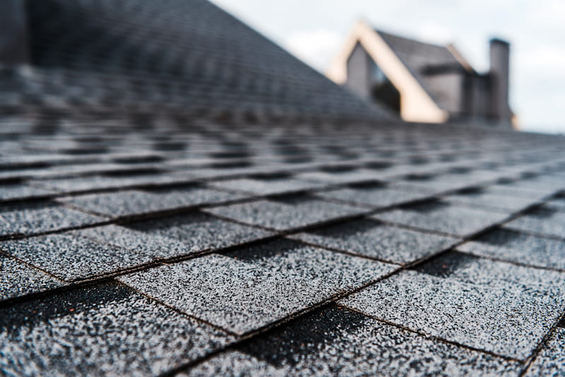 Roof Cleaning: Protecting Your Home from Top to Bottom with Xtreme Clean Power Washing