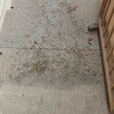 Best-Artificial-turf-cleaning-in-Coachella-Valley 6