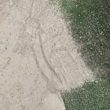 Best-Artificial-turf-cleaning-in-Coachella-Valley 7