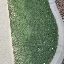 Best-Artificial-turf-cleaning-in-Coachella-Valley 12