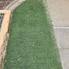 Best-Artificial-turf-cleaning-in-Coachella-Valley 13