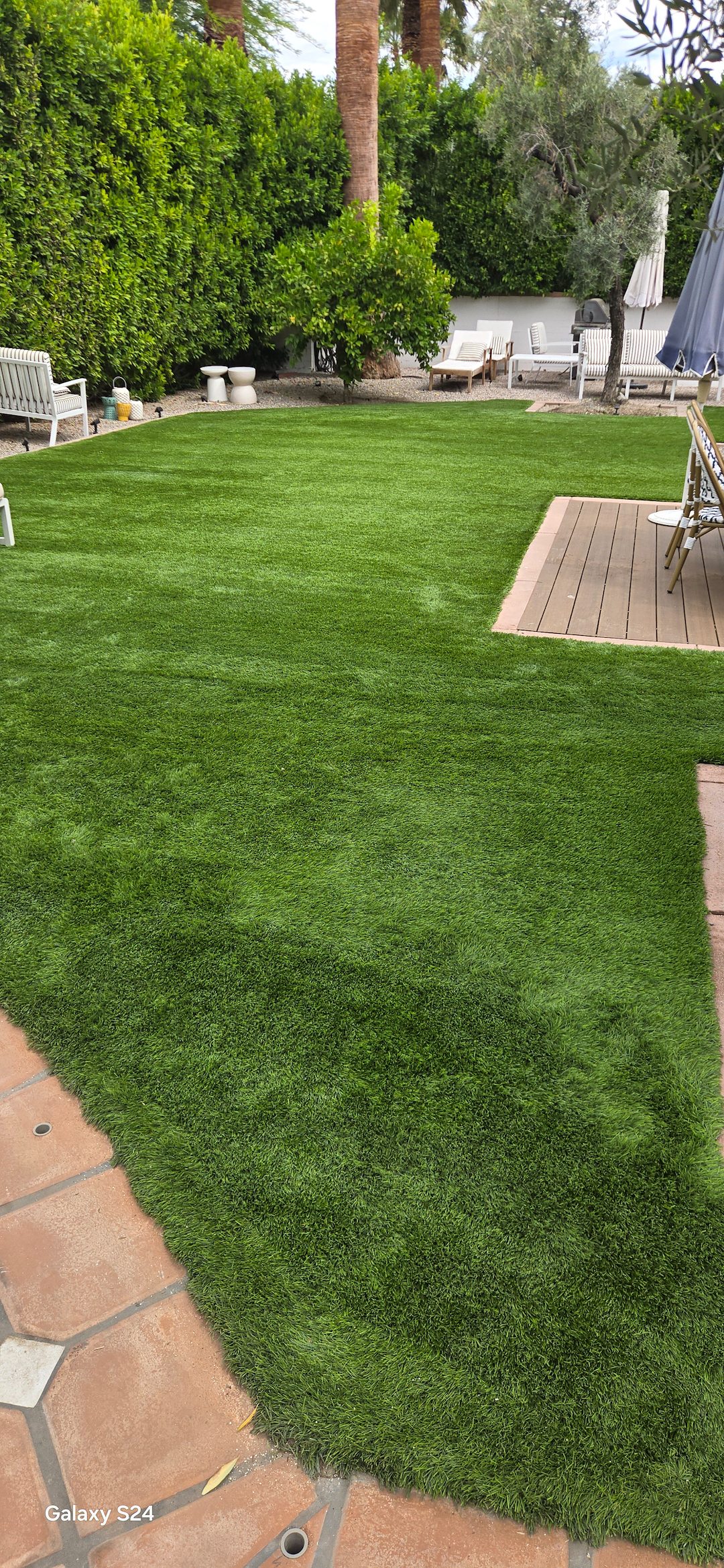 Coachella Valleys Best turf cleaning