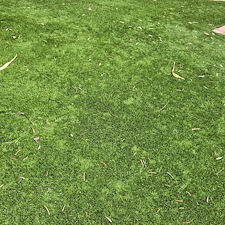 Coachella-Valleys-Best-turf-cleaning 8