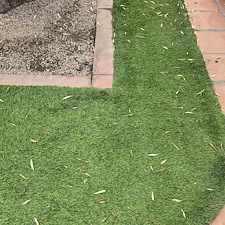 Coachella-Valleys-Best-turf-cleaning 5