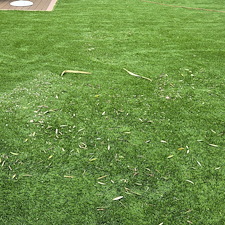 Coachella-Valleys-Best-turf-cleaning 3