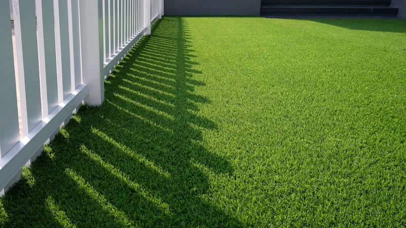 Artificial Turf Cleaning